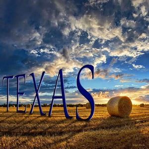 Meet your Posher, Sharron